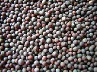 Black Matpe Beans